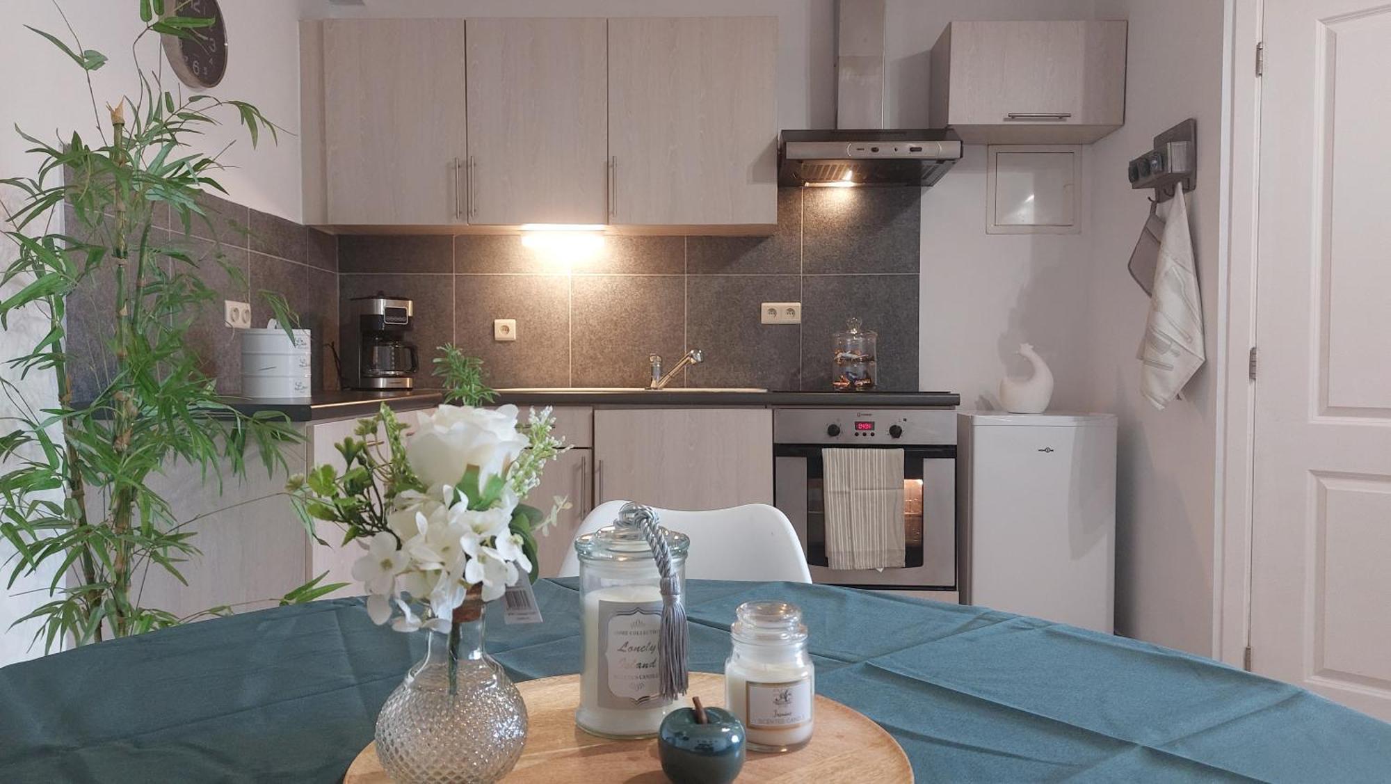 Appartement A La Cour De La Sucrerie à Binche Extérieur photo